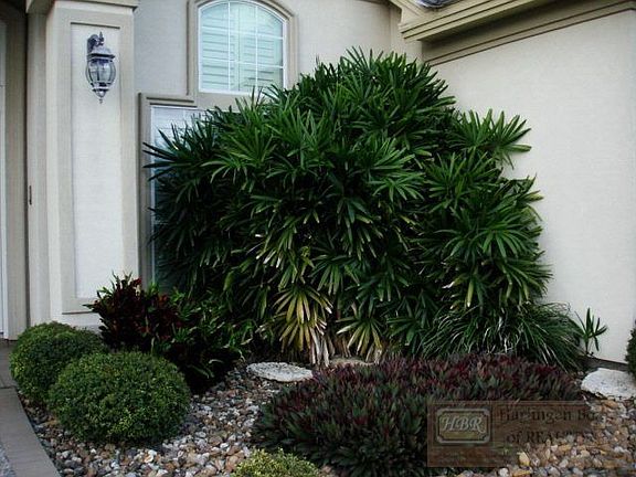 5th image of 4620 Algodon Ct