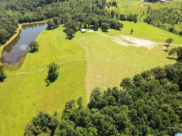 543 Lake Wancoolee Ln #4, Pell City, AL 35125