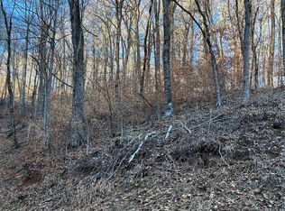 0 Chestnut Ln #80, Mars Hill, NC 28754