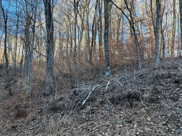 0 Chestnut Ln #80, Mars Hill, NC 28754