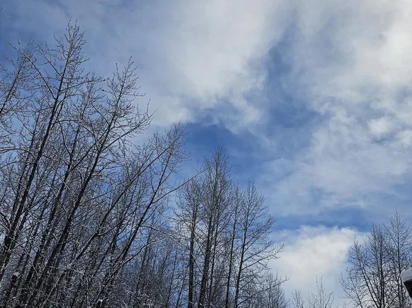 12124 Horseshoe Dr, Eagle River, AK 99577