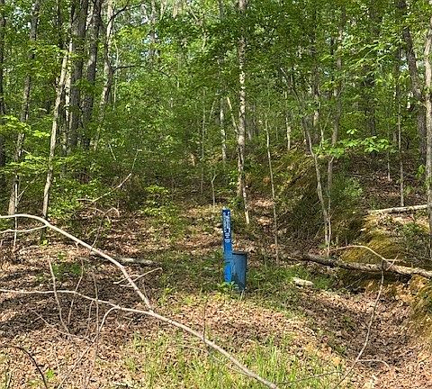 3rd image of 455 Moss Spring Hollow Rd