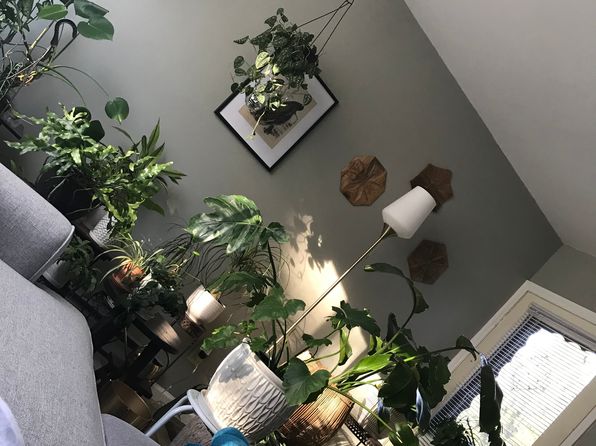 96 Davos Point