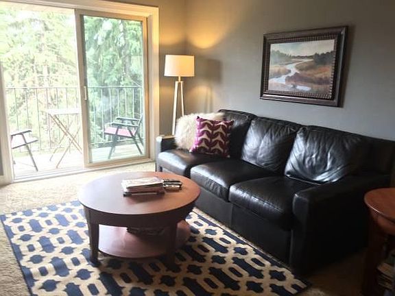 Comfortable leather sleeper, lovely balcony overlooks pine t