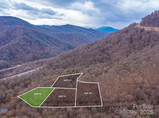 99999 Lovebird Ln, Candler, NC 28715