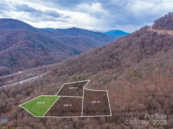 99999 Lovebird Ln, Candler, NC 28715