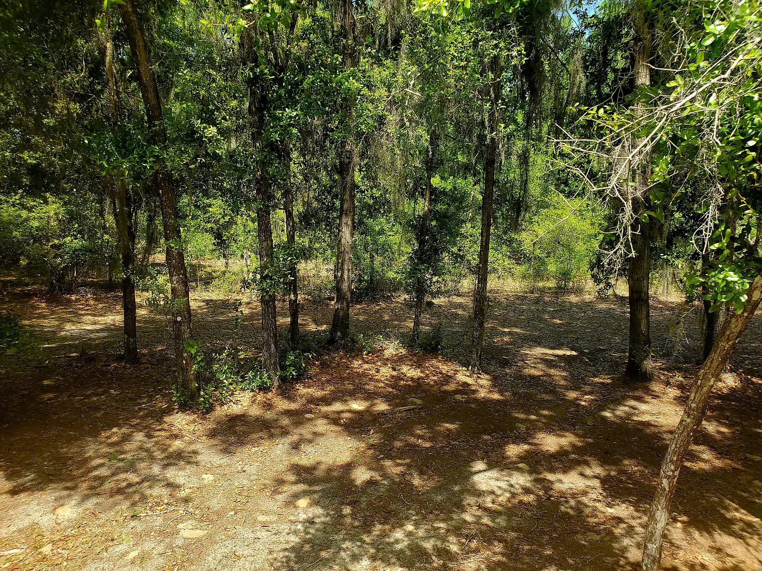 101 Little Star Rd — Photo 3