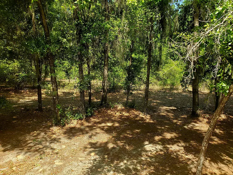 101 Little Star Rd — Photo 3