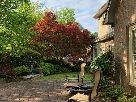 Sun Dappled Patio