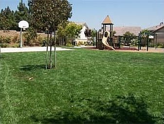 Park