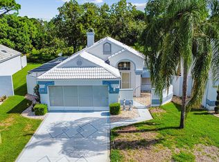 11019 Casa Grande Cir, Spring Hill, FL 34608