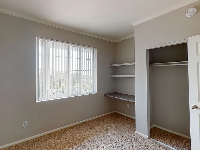 Spacious apartment bedroom with plush carpet flooring.