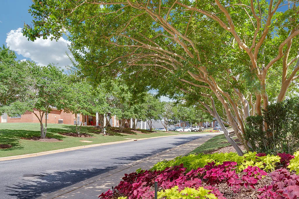 Northbrook — Photo 1