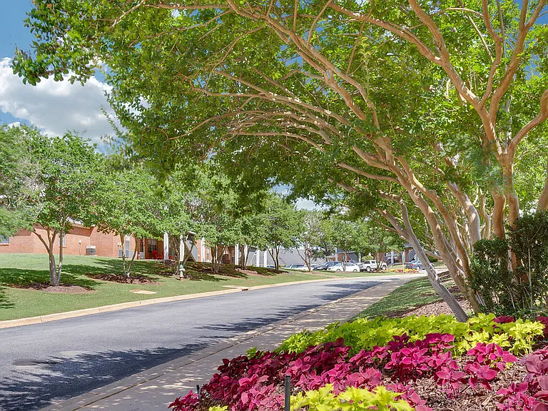 Northbrook — Photo 1