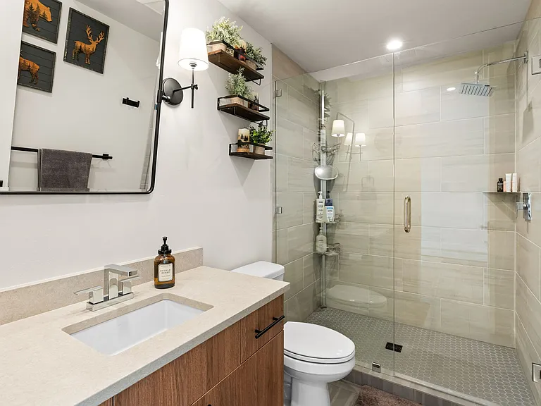 1503 Scotch Pine Ln — Photo 4