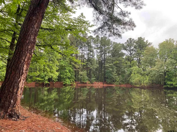 350 County Road 2155, Quitman, TX 75783