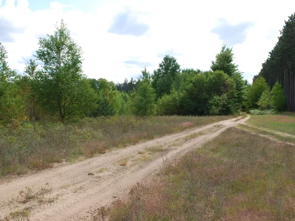 Little Ln NE #B, Kalkaska, MI 49646