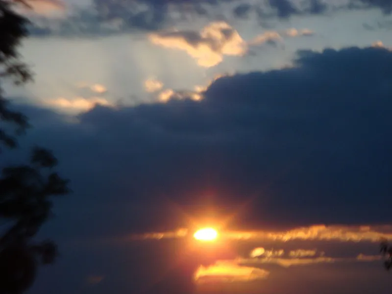Thumbnail 13