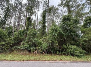 242 Lakeway Dr, Georgetown, FL 32139