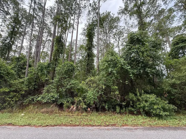 242 Lakeway Dr, Georgetown, FL 32139