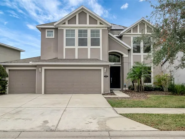 19354 Yellow Clover Dr, Tampa, FL 33647