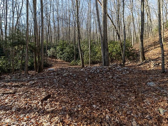 Jimmy Hollow Rd, Butler, TN 37640 | MLS #9932063 | Zillow