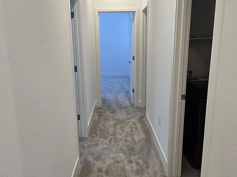 3217 Shrute Dr — Photo 15