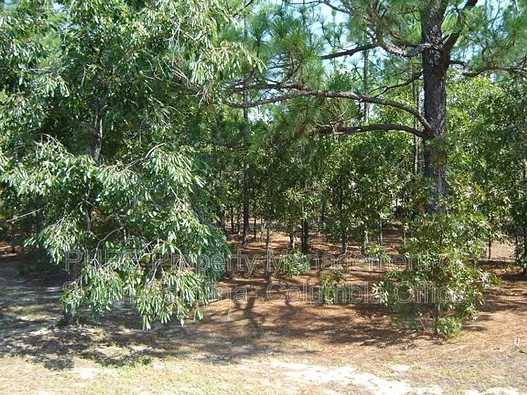 218 Sterling Cross Dr — Photo 18
