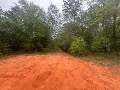 LOT 20&21 E Orange Blossom Ave, Defuniak Springs, FL, 32433