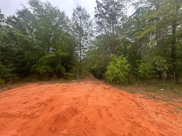 LOT 20&21 E Orange Blossom Ave, Defuniak Springs, FL 32433