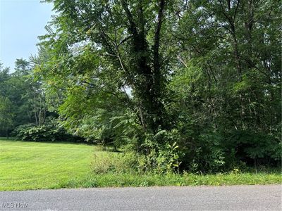 Coleman Ave, Akron, OH, 44312