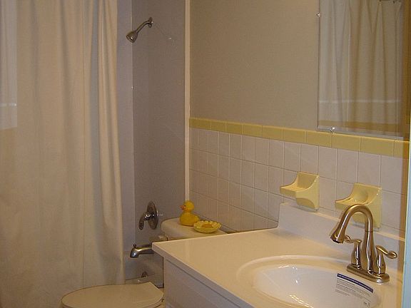 Hall Bath: New Cabinet & Counter