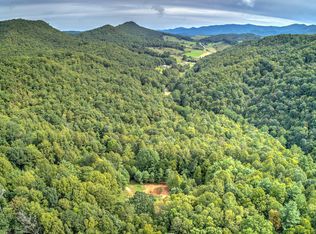 1056 Copperhead Hollow Rd, Butler, TN 37640