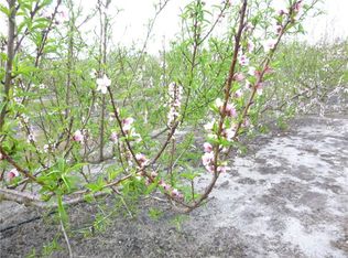 Masterpiece Rd, Lake wales, FL 33898