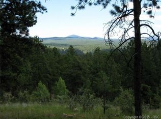 2082 Pikes Peak Dr, Florissant, CO 80816