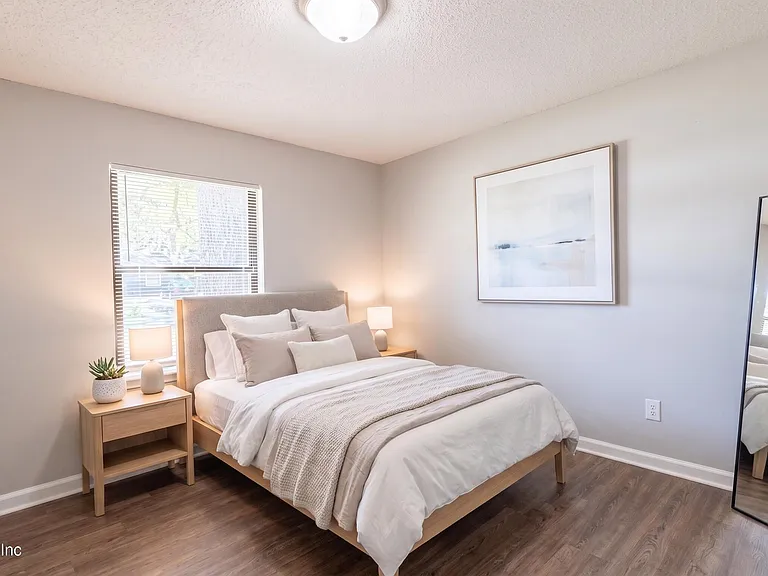 4711 Cinnamon Fern Dr — Photo 6