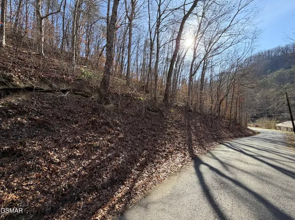 497 Avondale Hollow Rd Lot 0, Rutledge, TN 37861