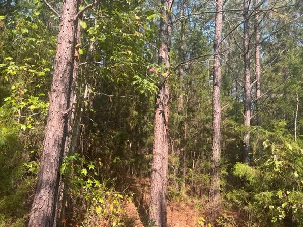 Asbury Church Rd, Georgiana, AL 36033