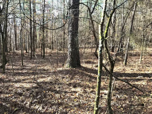 Airport Rd, Selmer, TN 38375