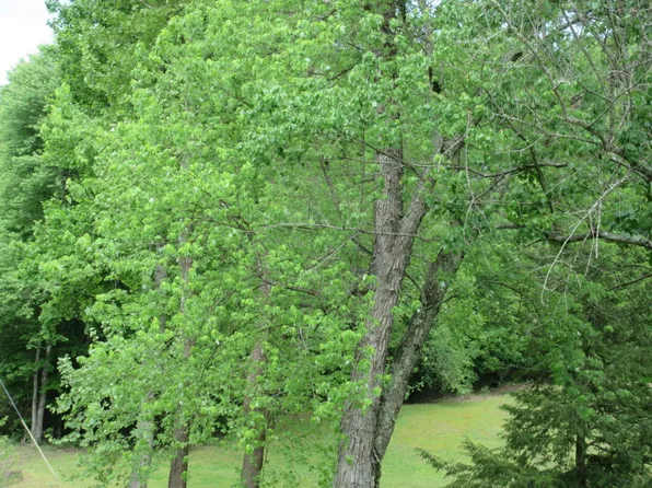 Kingston Hwy, Kingston, TN 37763