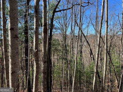 406 Barefoot Rise, Hiawassee, GA, 30546
