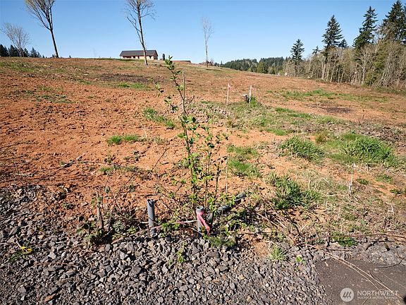 3rd image of 312 Dolan Road