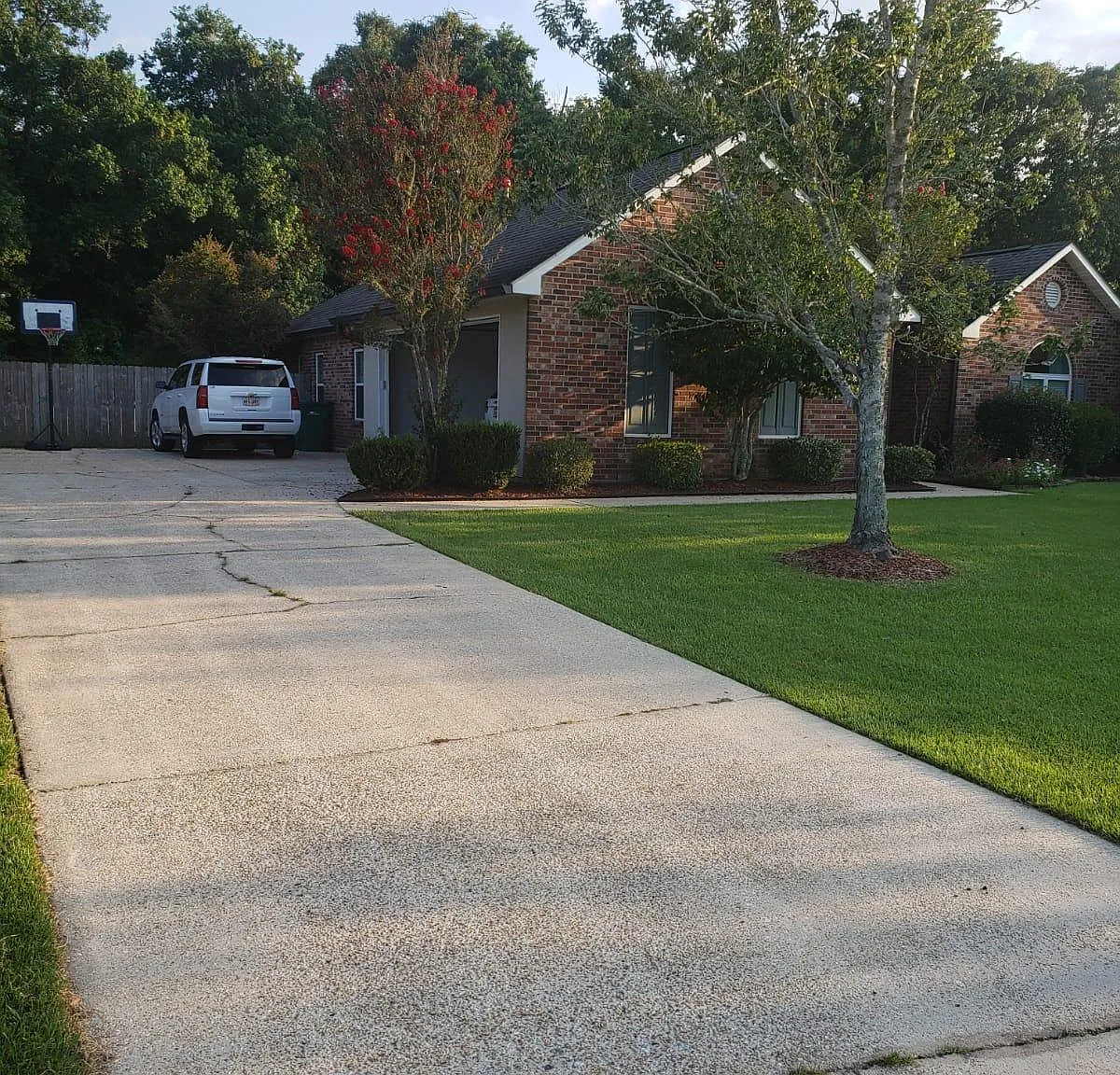 30295 White Egret St — Photo 2