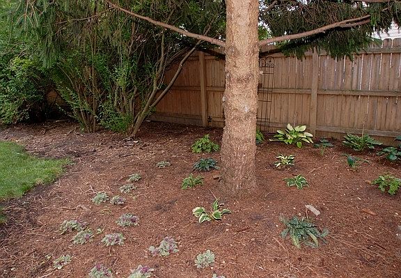 4th image of 8034 S Carnaby Ct