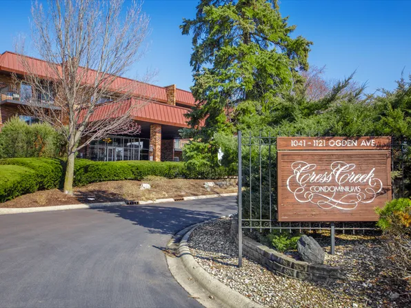 1049 W Ogden Ave APT 111, Naperville, IL 60563