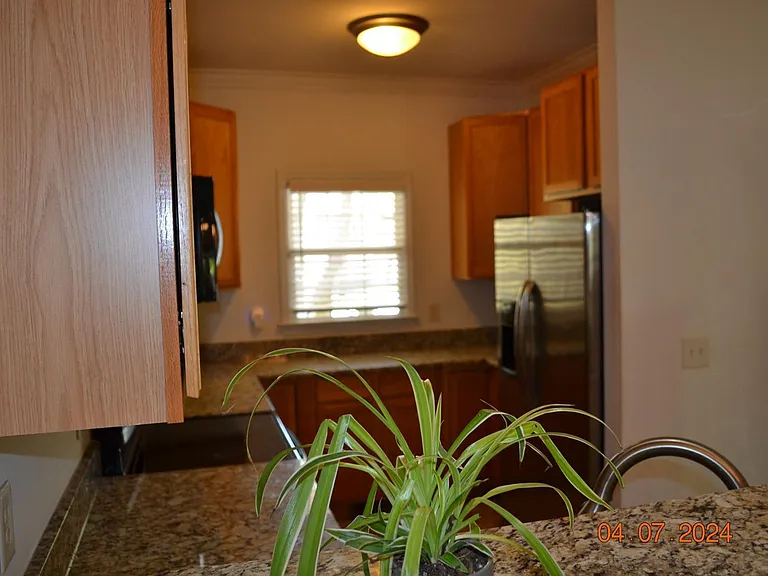 4506 Mistiflower Dr — Photo 12