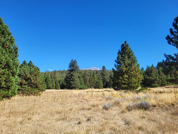 4th image of 20 N Old Stage Rd