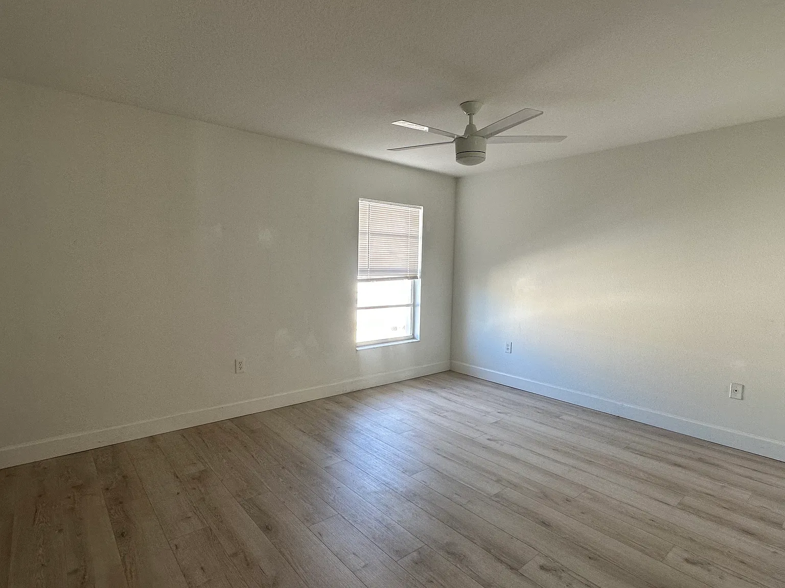 255 Capri Cir N — Photo 3