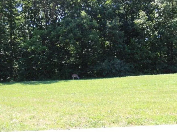 LOT 7 Reserves Ct, Charleston, IL 61920