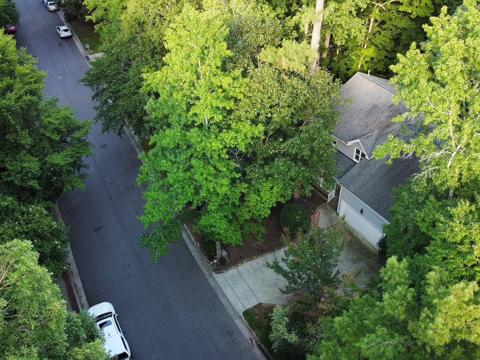 4 bed, 2694 sqft, $4,500 — Photo 2
